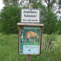 Amphibienschutz und Jagd